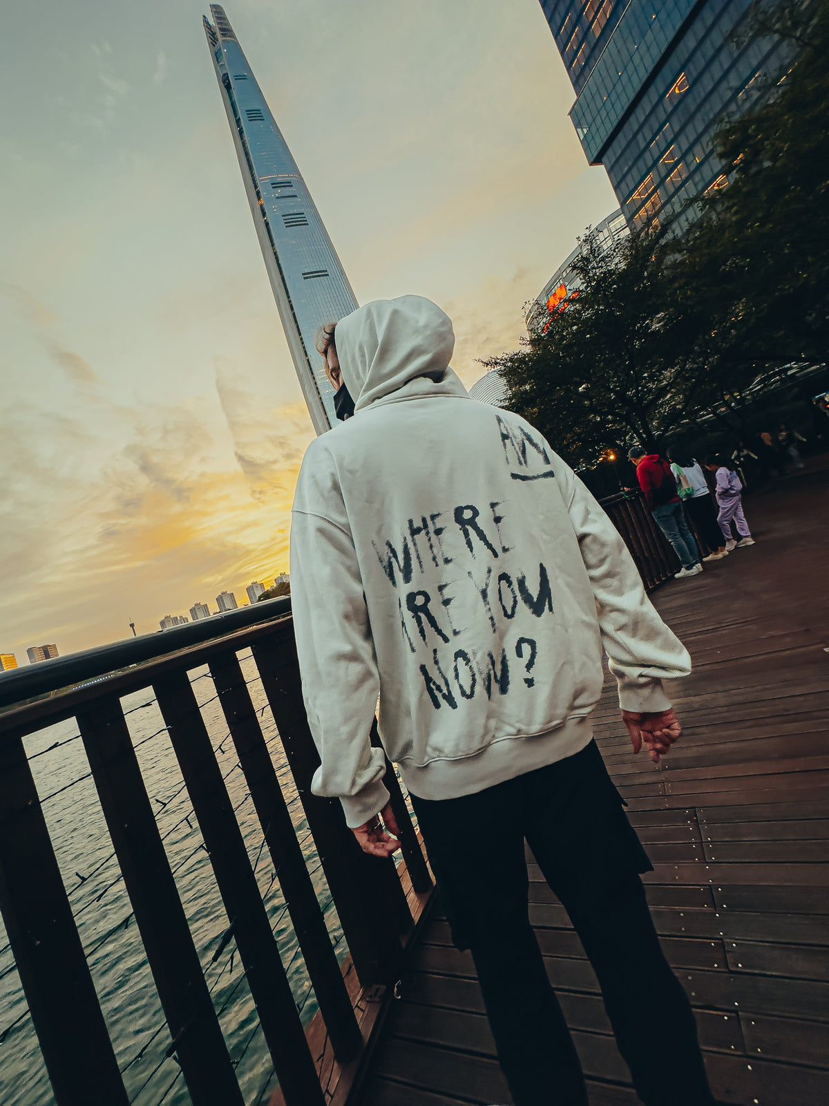 Alan Walker Faded Graffiti Hoodie off white worn on a waterfront at sunset, Where Are You Now back print